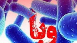 طغیانی از «وبا» نداریم / توصیه وزارت بهداشت در فصل گرما  