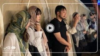 فیلم| حضور گردشگران کره جنوبی در عزاداری شب پنجم محرم یزد