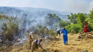 جان دادن جنگل های مریوان در آتش+عکس