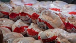 امحای ۸۳۸ کیلوگرم مرغ منجمد در اسلام آبادغرب