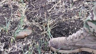 اوکراین دونتسک را با بمب‌های خوشه‌ای گلوله‌باران کرد