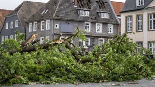 طوفان در آلمان موجب سقوط درخت روی یک خودرو شد