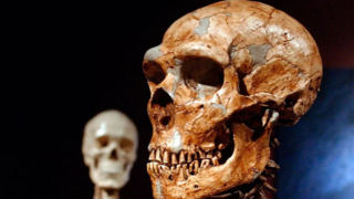 دانشمندان زمانی که جمعیت انسان‌ها تقریبا به نقطه «انقراض» رسیده بود را کشف کردند 