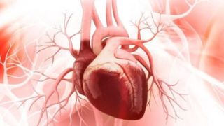راهکارهای طب ایرانی برای حفظ سلامت قلب