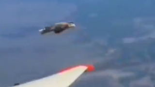 تلاش عقاب برای نشستن روی بال هواپیما