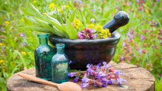 عوارض مصرف خودسرانه گیاهان دارویی/ مراقب خوردن گل گاوزبان و زنجبیل باشید!