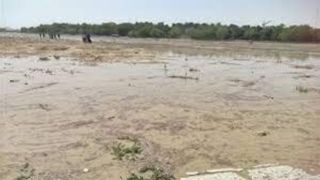 واکنش دیدنی اصفهانی‌ها از جاری شدن آب در رودخانه زاینده‌رود