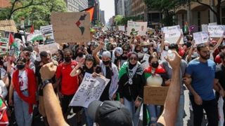 چامسکی: «نسل Z» آمریکا طرفدار فلسطین است 