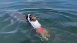 دلفینسواری جالب یک پسربچه ! دلفینسواری جالب یک پسربچه !