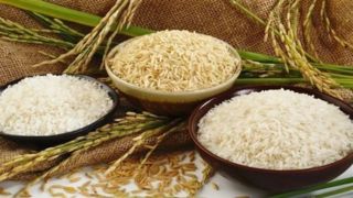 خبر خوش برای برنجکاران شمال/ اختصاص ۴۰ هزار میلیارد برای خرید برنج مازندران با دستور رئیس جمهور