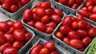 اسراییل درباره «گوجه گیلاسی» هم دروغ می گوید! 