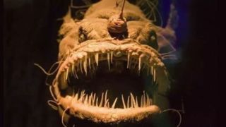 ۱۰ گونه از عجیب‌ترین و ترسناک‌ترین موجودات اعماق دریا 