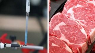 حسگر زیستی جدیدی که فساد گوشت را تشخیص می‌دهد