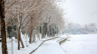 پایتخت سفیدپوش شد؛ تصاویری جذاب از بارش برف در تهران