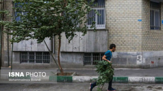وزش باد شدید در تهران/ افزایش دما تا شنبه
