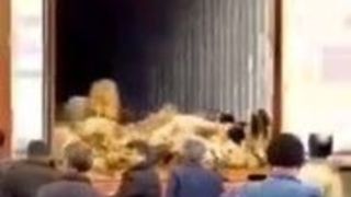 چوپان و ۱۰۰ گوسفند در اصفهان خفه شدند + فیلم