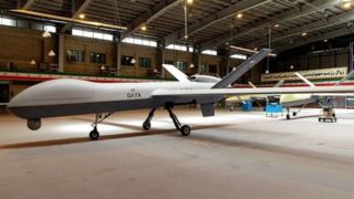 نقش پهپادهای ایرانی در هشدار به پرندههای متخاصم نقش پهپادهای ایرانی در هشدار به پرندههای متخاصم