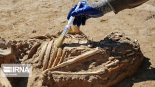 جستوجوی تاریخ مازندران در تپه «ترکام» جستوجوی تاریخ مازندران در تپه «ترکام»