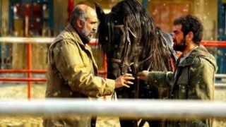 زوج هادی حجازیفر و میرسعید مولویان در یک فیلم جدید زوج هادی حجازیفر و میرسعید مولویان در یک فیلم جدید