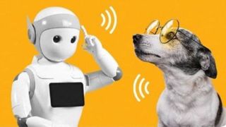 ارتباط با حیوانات و گیاهان به کمک هوش مصنوعی ارتباط با حیوانات و گیاهان به کمک هوش مصنوعی