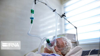 بیمار گمشده مشهدی پس از یک سال در بیمارستان پیدا شد! بیمار گمشده مشهدی پس از یک سال در بیمارستان پیدا شد!