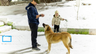 تنپوش سفید زمستان بر تن تبریز تنپوش سفید زمستان بر تن تبریز