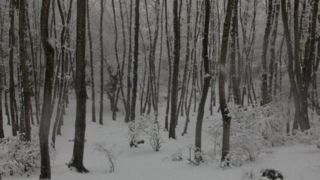 افزایش ۱۱ درصدی آمار بارش در کنار تداوم خشکسالی