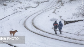 بارش برف زمستانی سوادکوه