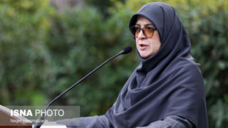 مهاجرانی: تاکنون به مردم لس آنجلس کمکی نکردیم/ دولت در چارچوب عزت و شرافت ایرانی پیش می رود 