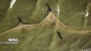 صید ماهی در دریای خزر ممنوع شد صید ماهی در دریای خزر ممنوع شد