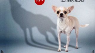 سگ خانگی یا هیولای خفته؟! سگ خانگی یا هیولای خفته؟!