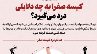 کیسه صفرا به چه دلایلی درد میگیرد؟ کیسه صفرا به چه دلایلی درد میگیرد؟