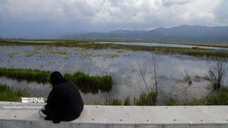 آیا محیطزیست در حفظ تالابها موفق بوده است/نیمهجان به مدد مدیریت طبیعت آیا محیطزیست در حفظ تالابها موفق بوده است/نیمهجان به مدد مدیریت طبیعت