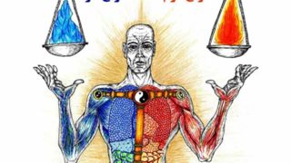 بهترین روش تشخیص مزاج (بلغمی، دموی، صفراوی، سوداوی) بهترین روش تشخیص مزاج (بلغمی، دموی، صفراوی، سوداوی)