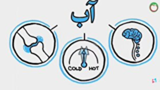 نقش آب در بدن انسان نقش آب در بدن انسان