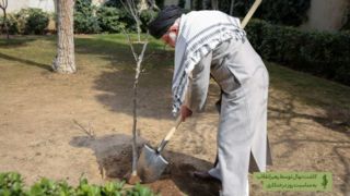 کاشت نهال توسط رهبر انقلاب در روز درختکاری کاشت نهال توسط رهبر انقلاب در روز درختکاری