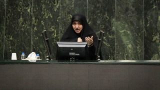 رفیعی: نگهداشت درخت خیلی مهمتر از کاشت آن است رفیعی: نگهداشت درخت خیلی مهمتر از کاشت آن است