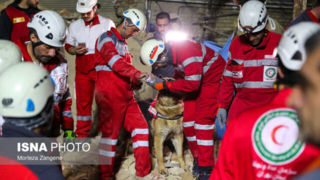 حضور ۶ سگ زندهیاب در محل آوار ساختمان ۴ طبقه در طالقانی/ عملیات آواربرداری ادامه دارد حضور ۶ سگ زندهیاب در محل آوار ساختمان ۴ طبقه در طالقانی/ عملیات آواربرداری ادامه دارد