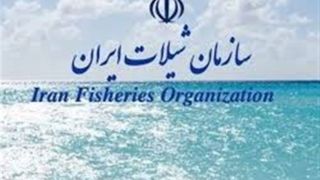 جزئیات تفحص از شیلات/ ارزهای اختصاص یافته رصد می‌شود