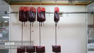 «زنان» قهرمانان غایب نجات زندگی