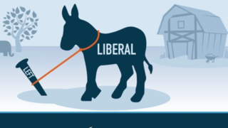 چرا لیبرالیسم جواب داده است؟! 