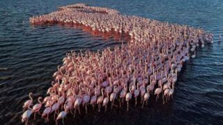 مشکلی برای تامین آب احیا تالاب میانکاله نیست