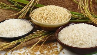 روزانه ۸ تن برنج در سفره مردم دورریز می‌شود