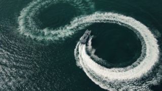 زنبورهای سرخ سپاه را بشناسید! زنبورهای سرخ سپاه را بشناسید!