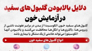 دلایل بالابودن گلبول‌های سفید در آزمایش خون