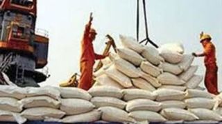 کانتینرهای کالاهای اساسی در انفجار بندر رجایی نبودند/ ترخیص کالاهای اساسی امروز از سرگرفته می‌شود