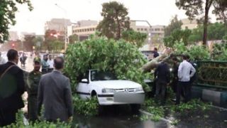 امکان دریافت خسارت از شهرداری در صورت سقوط درخت امکان پذیر است؟ امکان دریافت خسارت از شهرداری در صورت سقوط درخت امکان پذیر است؟