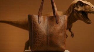 ورود دایناسورها به صنعت مد / تولید پوشاک آینده با چرم تیرکس! ورود دایناسورها به صنعت مد / تولید پوشاک آینده با چرم تیرکس!