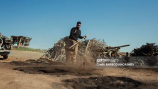 کارگاه تولید زغال در بوکان کارگاه تولید زغال در بوکان