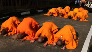 جشن میلاد بودا جشن میلاد بودا